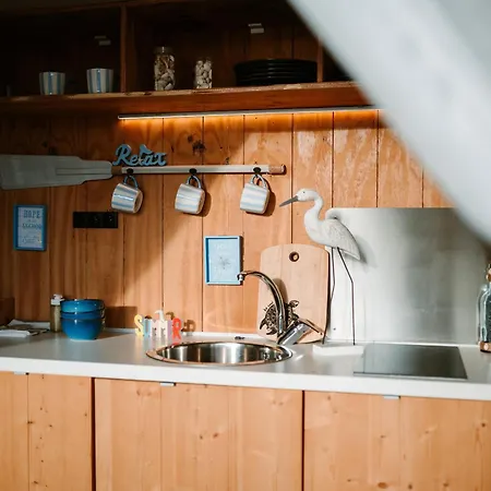 Kotva By Momoland Kemp