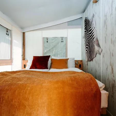 Kotva By Momoland Kemp *